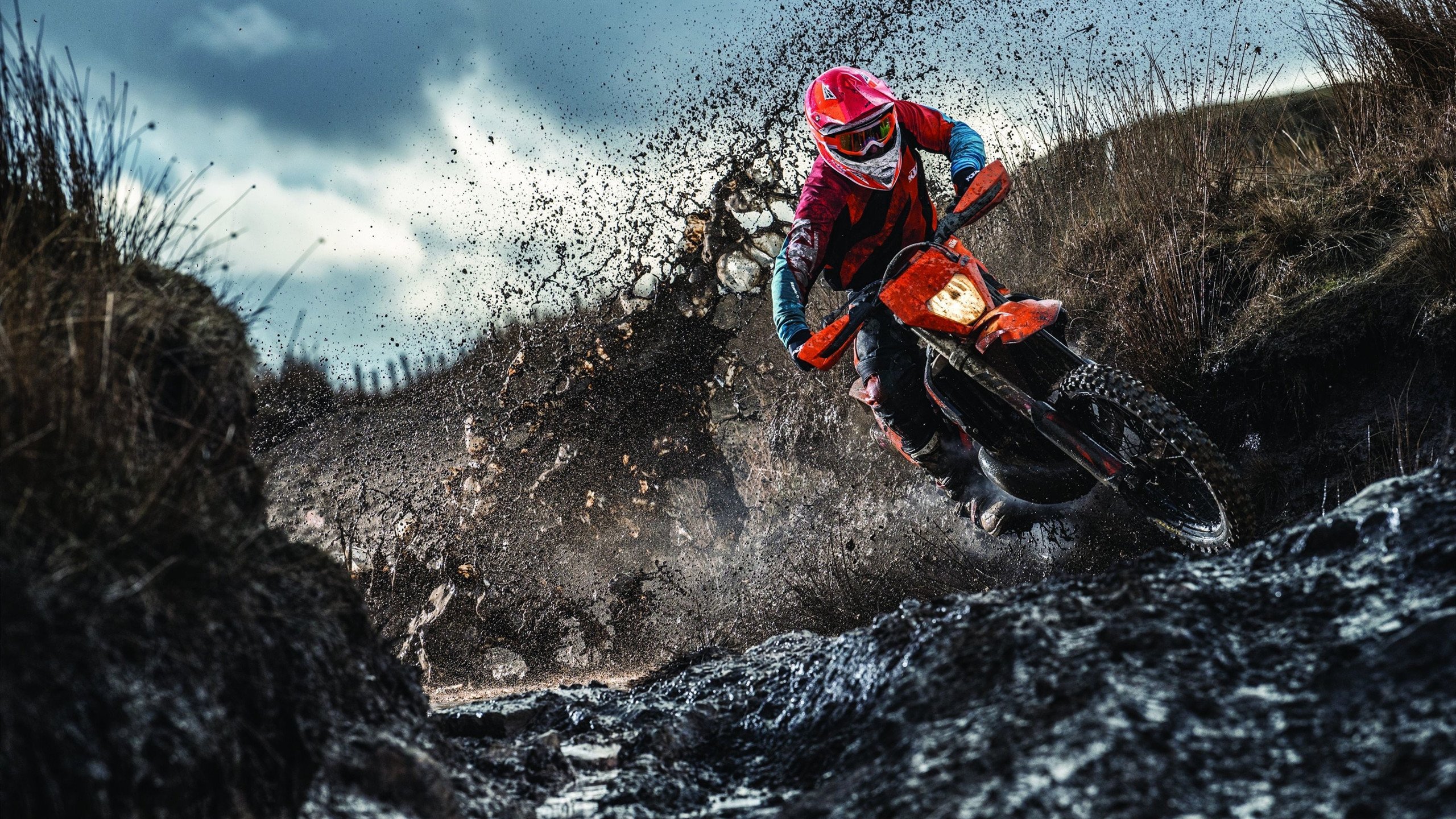 勇士全面压制灰熊，福克斯成为关键先生